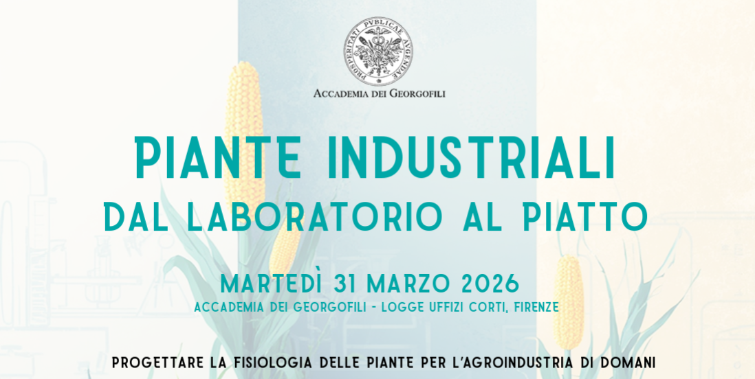 Piante industriali. Dal laboratorio al piatto